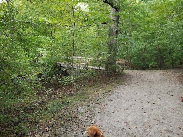 Wolf Creek Greenway - Image 2