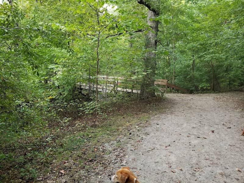 Wolf Creek Greenway - Image 2