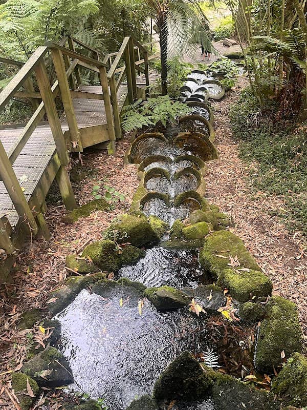 Lake Te Koo Utu Waterfall Steps - Image 1
