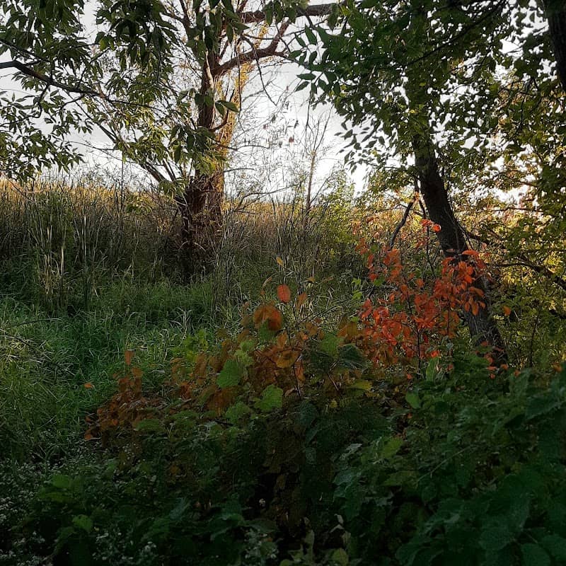 Old Mill Park - Image 1