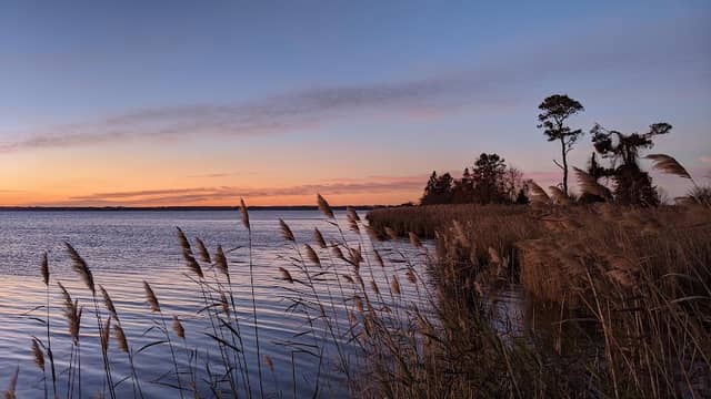 Lake Mattamuskeet Observation Deck - Image 3