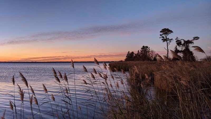 Lake Mattamuskeet Observation Deck - Image 3