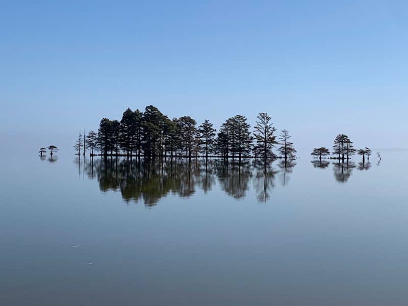 Lake Mattamuskeet Observation Deck - Image 1