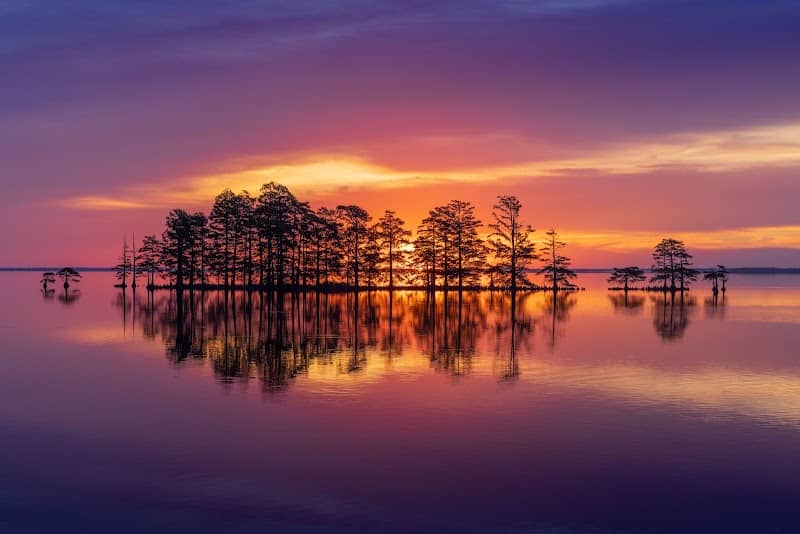 Lake Mattamuskeet Observation Deck - Image 2