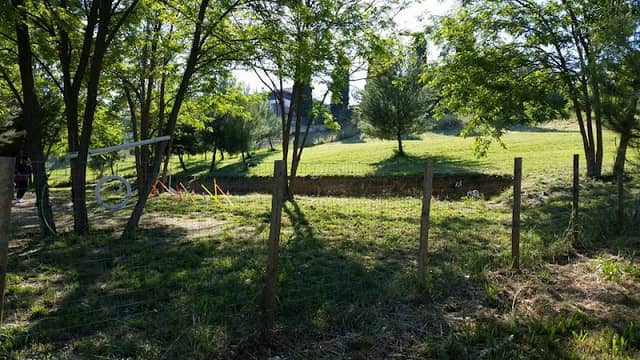Cave Canem - Image 2
