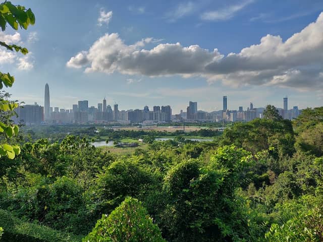 Lok Ma Chau Lookout - Image 1