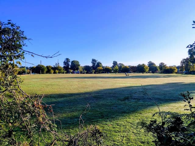 Westway Common - Image 2