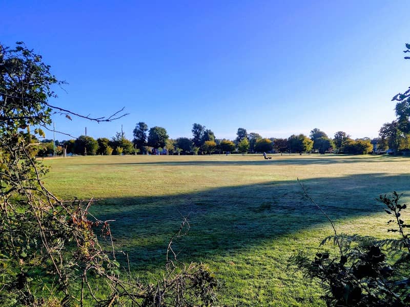 Westway Common - Image 2