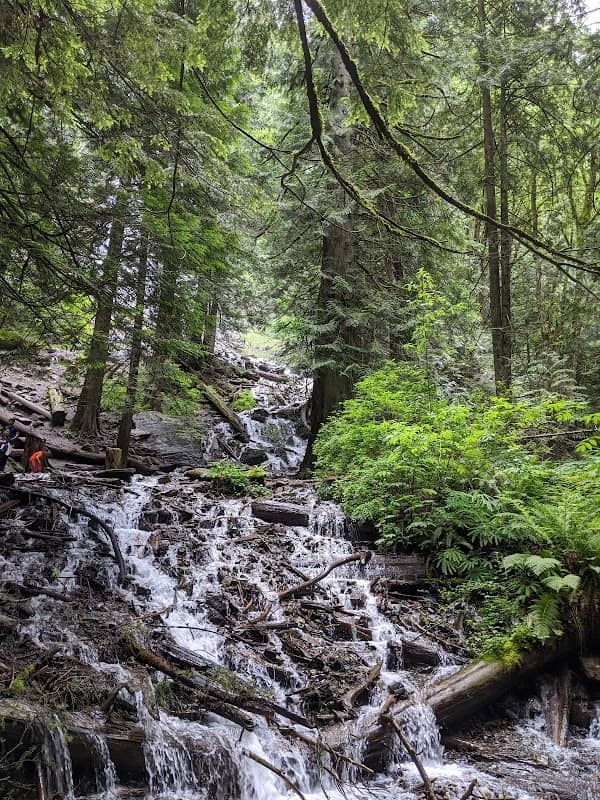Bridal Veil Falls Provincial Park - Image 2