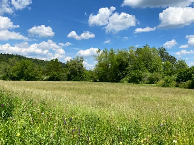 Brunnmatte Roggwil Nature Reserve - Image 1