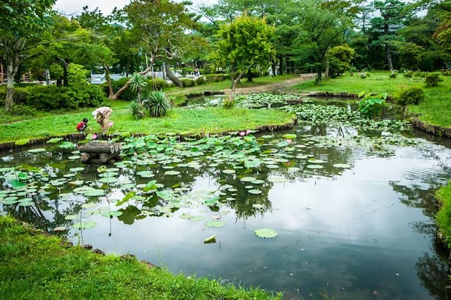Niko-Niko Ike (Smiling Pond) - Image 3