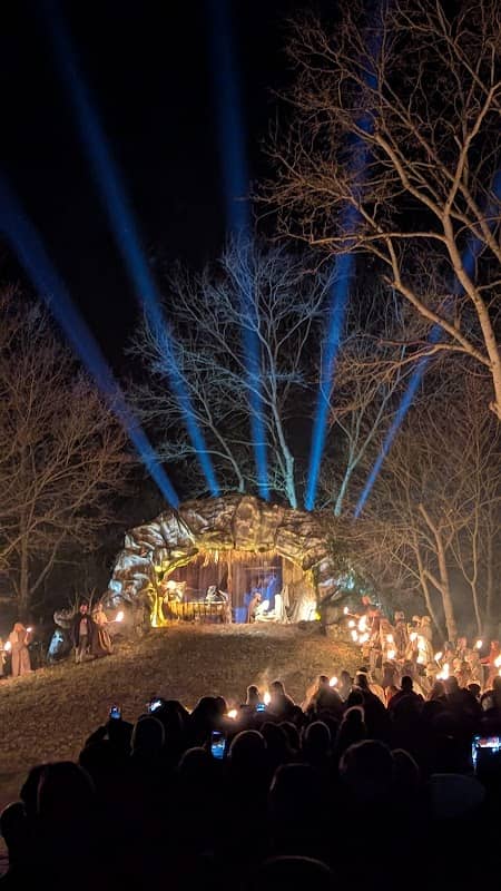 Area presepe - Image 1