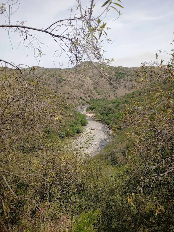 El Curupi - Image 2