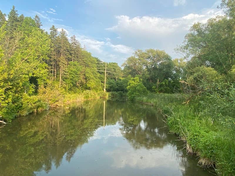 Fairy Lake - Image 1