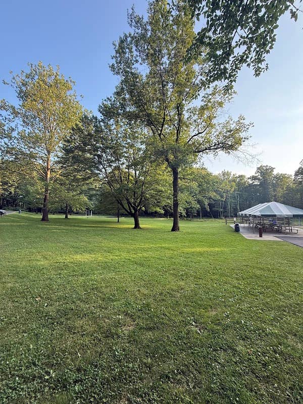 Lost Meadows Picnic Area - Image 2