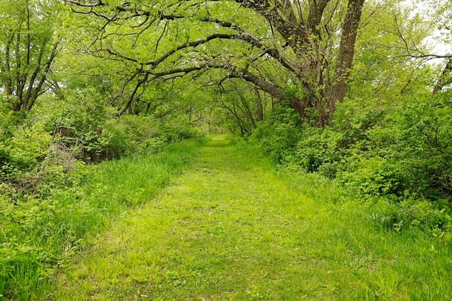 Nishnabotna Rock Cut Trail Head - Image 2