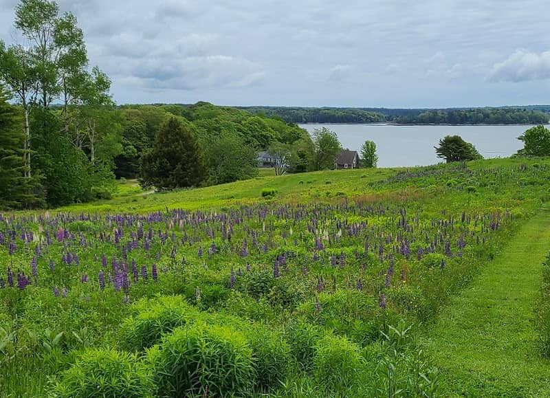 Hay Conservation and Recreation Area - Image 1