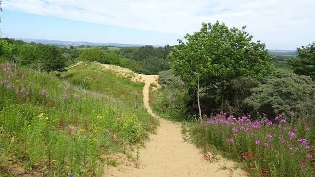 Merthyr Mawr Nature Reserve - Image 3