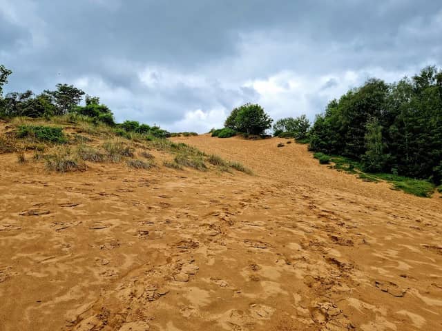 Merthyr Mawr Nature Reserve - Image 2