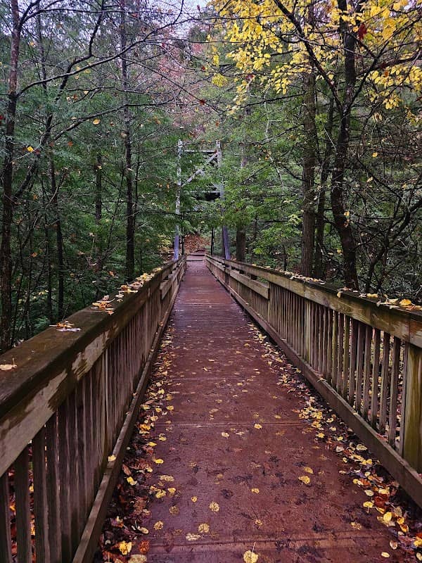 A-Frame Bridge - Image 2
