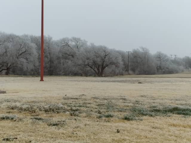 Ernest Butler Park - Image 1
