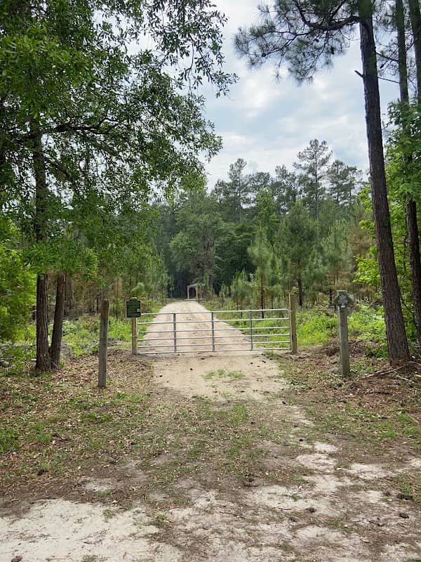 Nancy Natoli Memorial Preserve - Image 1