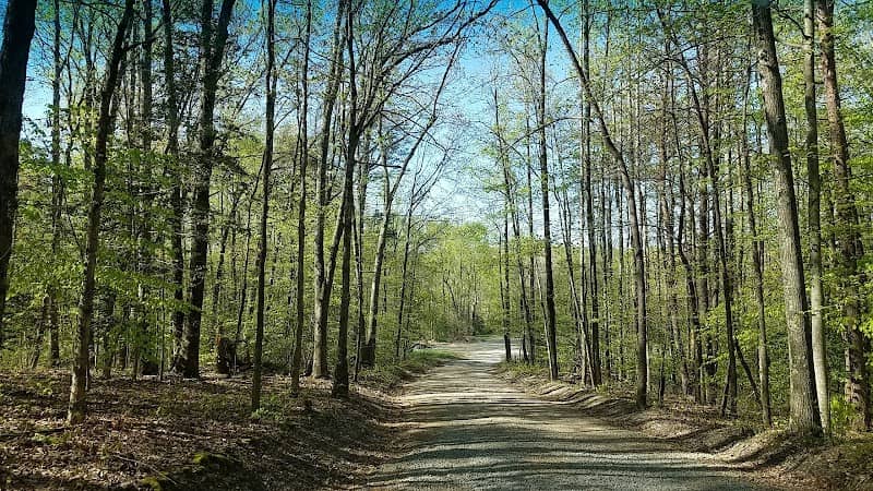 Motts Run Reservoir Recreation Area - Image 2