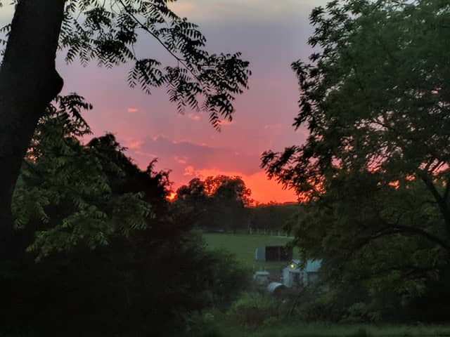 Dye's Park - Image 2