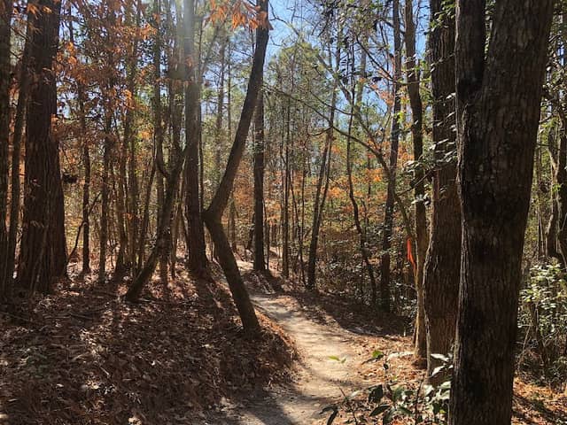 Big Branch Bike Park - Image 1
