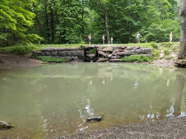 Swimming Hole Green Ridge State Forest - Image 1