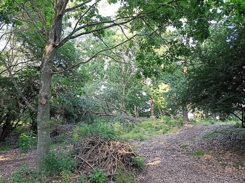 Campo del Munton - Image 1