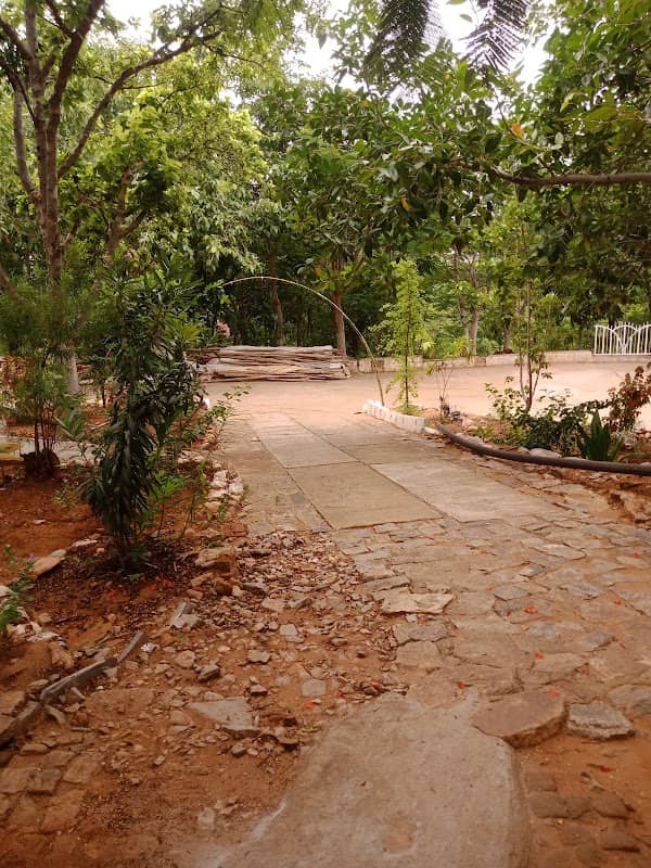 Tiger Park - Image 1