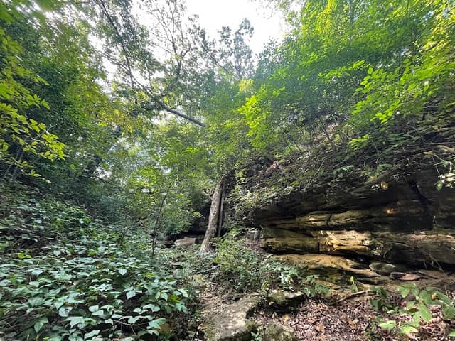 Devil's Staircase Trail - Image 1