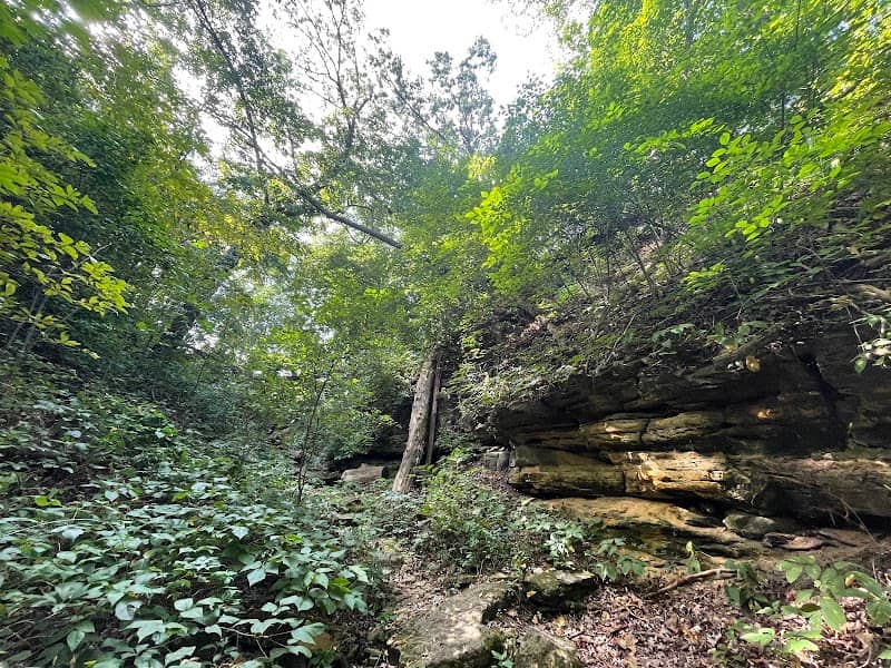 Devil's Staircase Trail - Image 1
