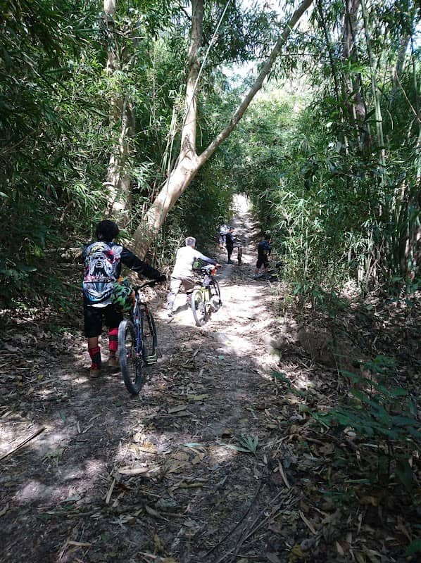Tipo Trail - Image 1