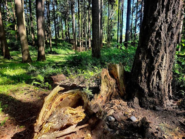 Dottie Harper Park - Image 3