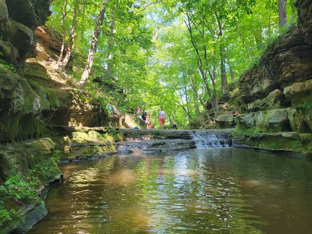 Pewit's Nest - Image 3