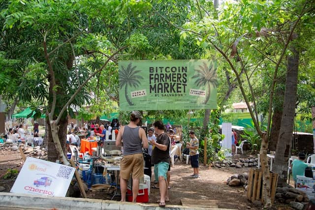 Plaza Mango Verde - Image 1
