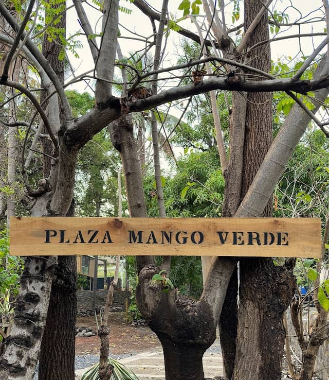 Plaza Mango Verde - Image 2