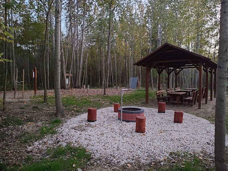 ERDEI SZABADIDŐPARK - Image 2