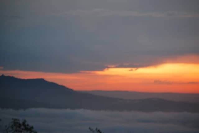 Bussaco Park - Image 2