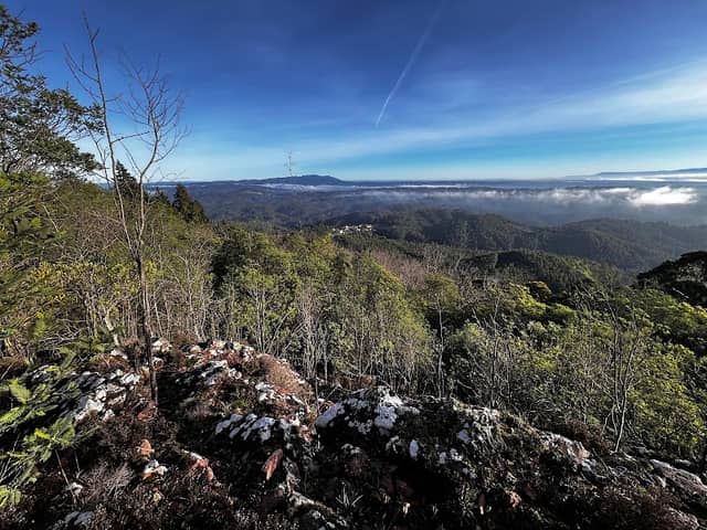 Bussaco Park - Image 3