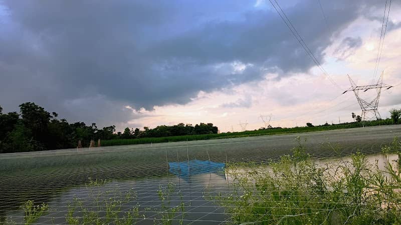 Narayan pur sabujdeep - Image 1