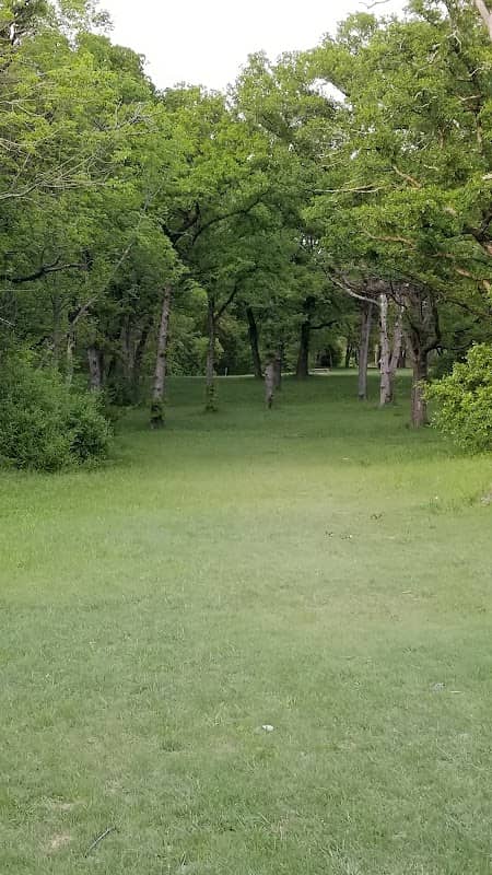 Lester Lorch Park - Beaver Disc Golf Course - Image 1