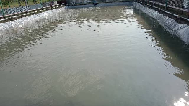 Pemancingan dan Ikan bakar GINTUNG - Image 2