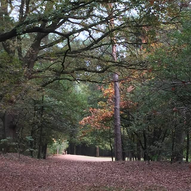 Vlakwater - Image 1