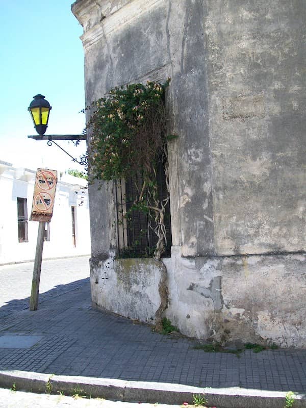 Paseo de la Brecha - Image 2