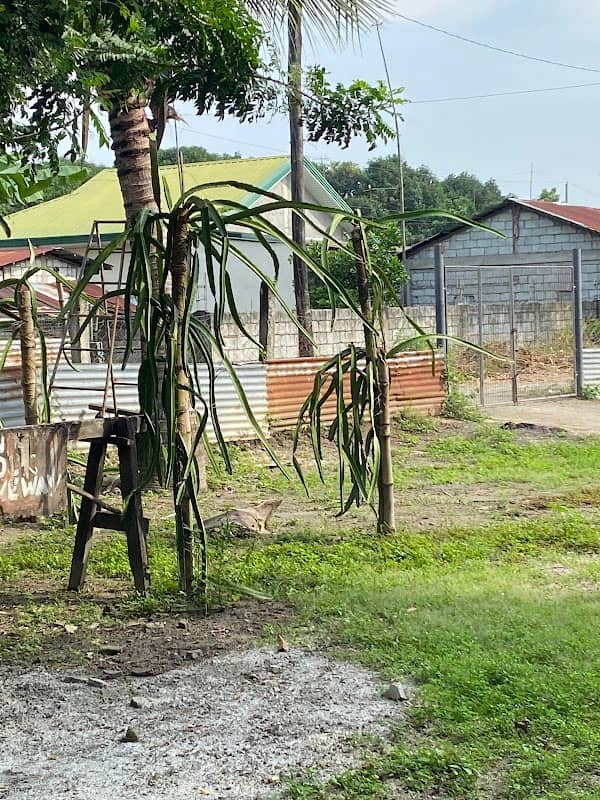 Editha's Farm - Image 1
