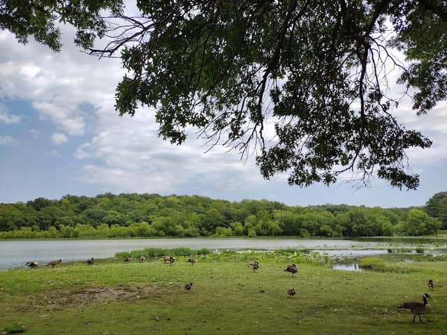 Green Meadows Park - Image 2