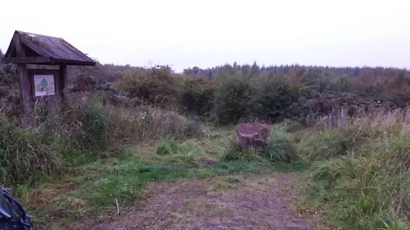 Dykehead woods - Image 2